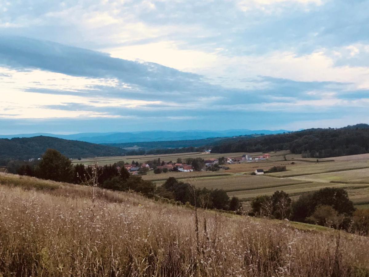Landvilla Sinelia Premium Dietersdorf am Gnasbach Buitenkant foto