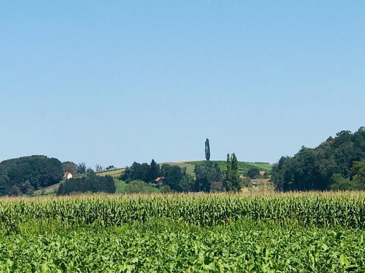 Landvilla Sinelia Premium Dietersdorf am Gnasbach Buitenkant foto